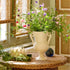 Cream Amphora Vase