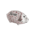 Personalised Pink Piggy Bank